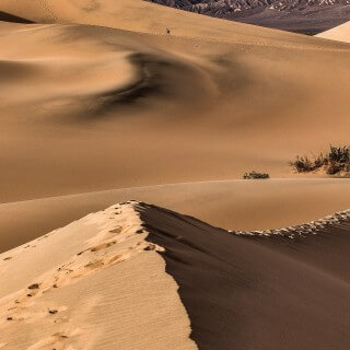 ThrallDoor Example 2